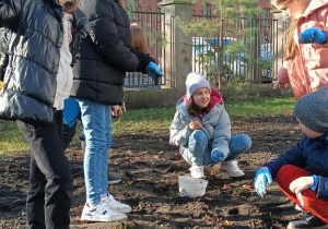 Na zdjęciu uczniowie sadzą tulipany.