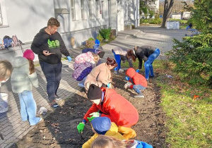 Na zdjęciu uczniowie wraz z rodzicami sadzą tulipany.